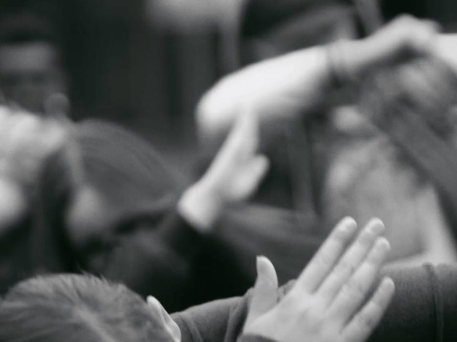 Adembenemend Da Vinci clip close 2 935 x 700